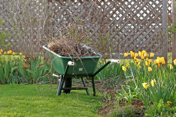 Flower Bed Cleanup Service in Redford