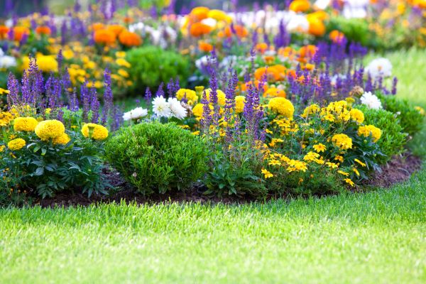 Flower Bed Maintenance in Redford