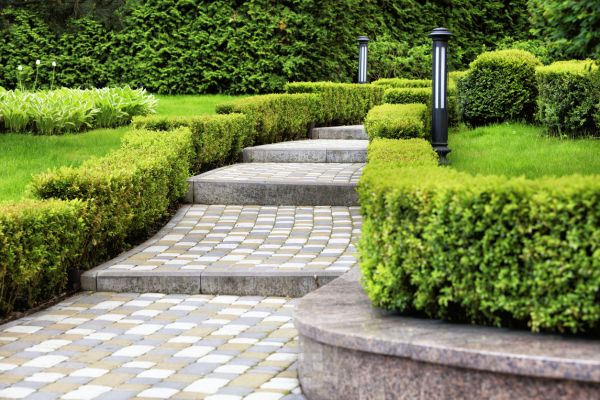 Backyard Remodeling in Redford