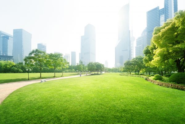 Commercial Landscape Maintenance in Redford