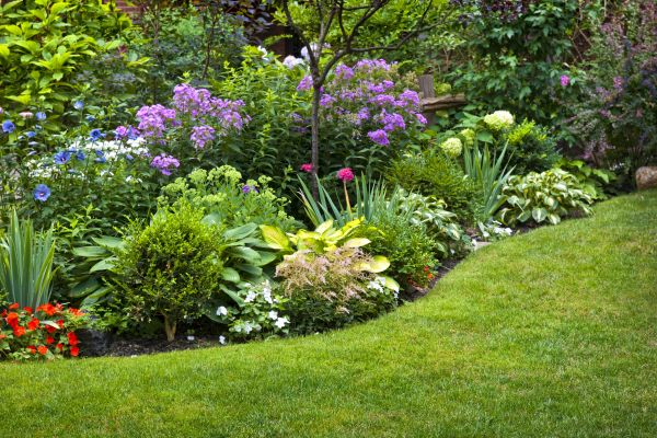 Flower Bed Service in Redford