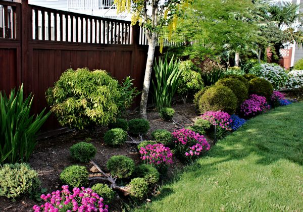 Garden Care Service in Redford