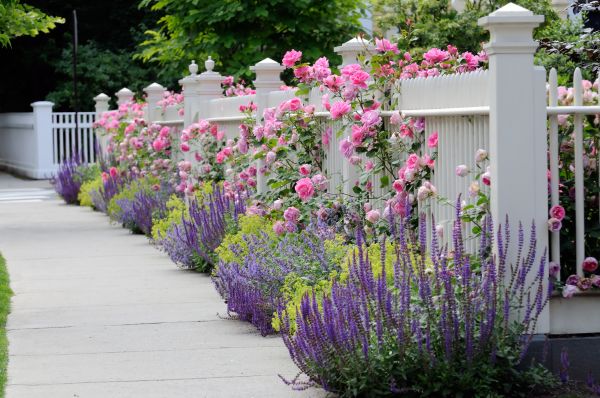 Garden Handyman Service in Redford