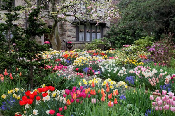 Garden Maintenance Service in Redford