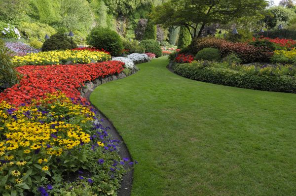 Landscaping Maintenance in Redford