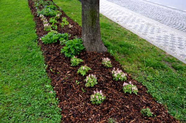 Mulch Replacement Service in Redford