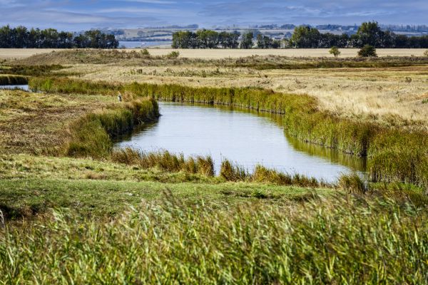 Swale Landscaping in Redford