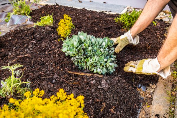 Weeding And Mulching in Redford