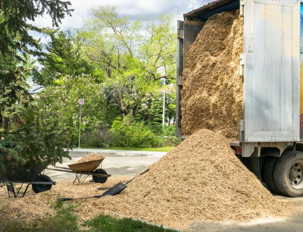 Wood Chips Delivery in Redford