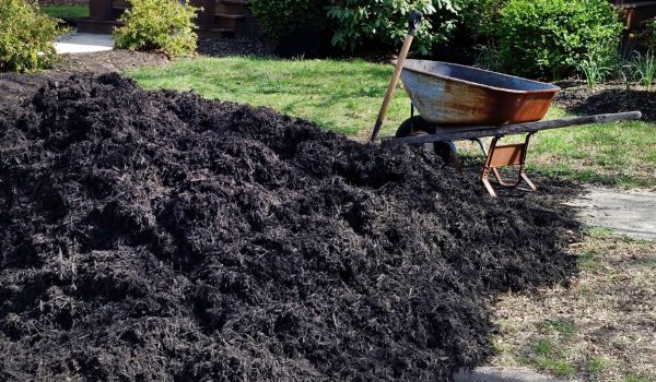 Black Mulch Delivery in Redford