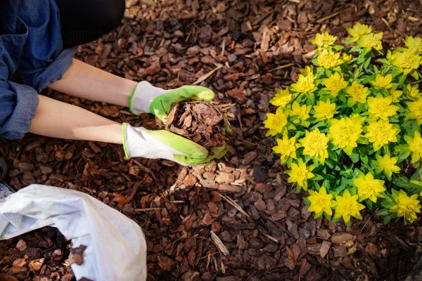 Garden Mulching in Redford