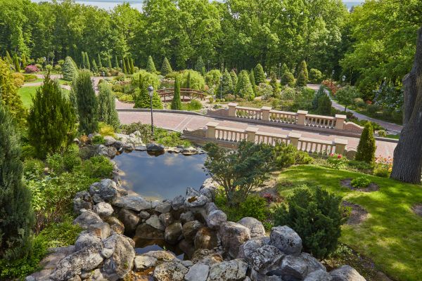 Landscape Architecture Service in Redford