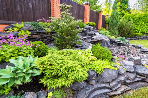 Landscape Remodeling in Redford