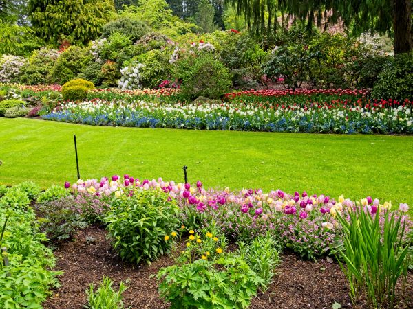 Residential Landscape Design in Redford