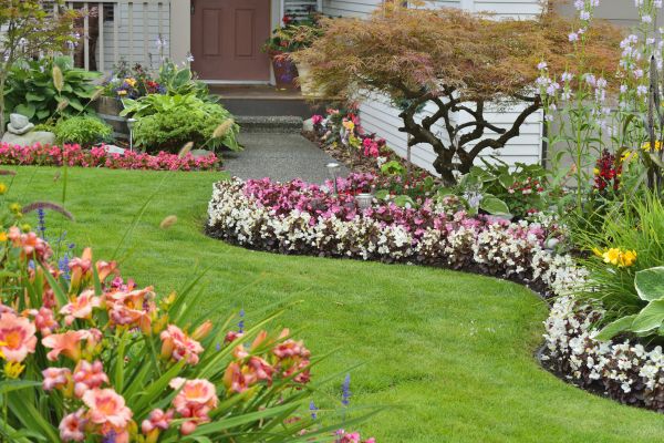 Perennial Landscaping in Redford