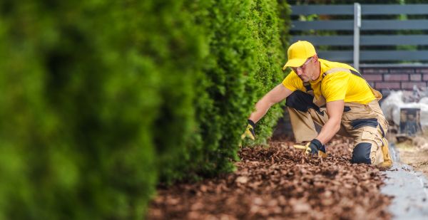 Cypress Mulch Installation in Redford