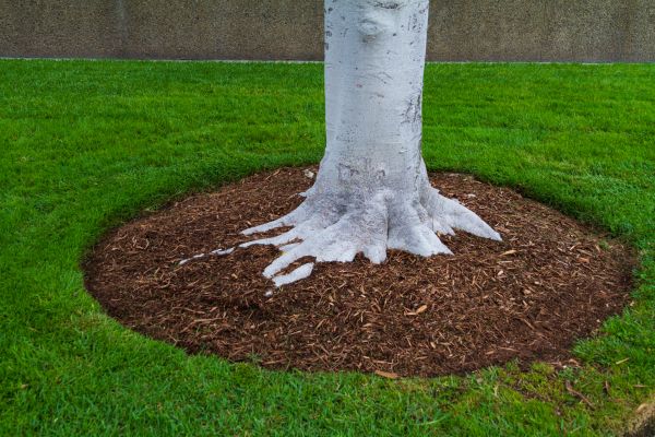 Brown Mulch Installation in Redford