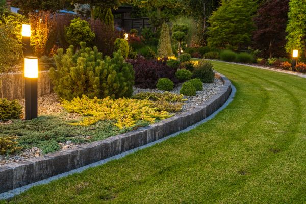 Garden Repair Service in Redford