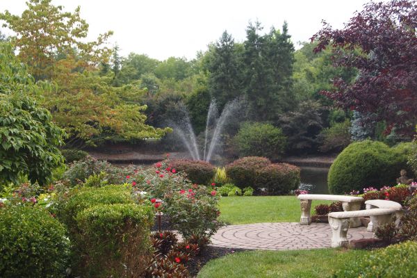 Courtyard Design Service in Redford