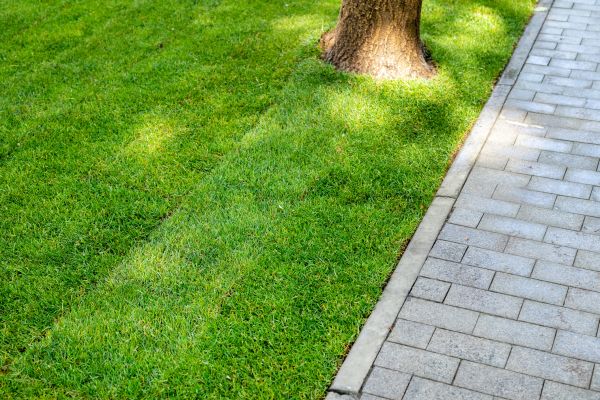 Border Stone Installation in Redford