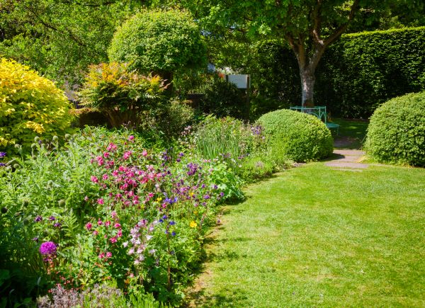 Yard Landscaping Service in Redford