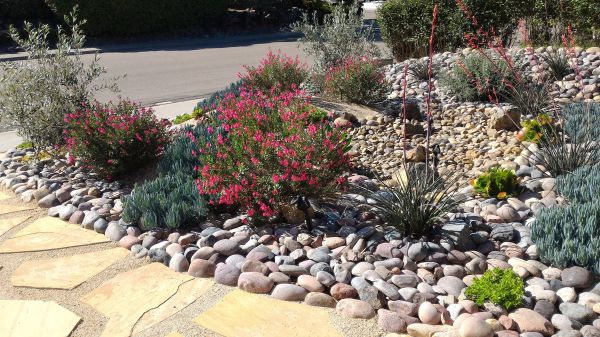 Xeriscape Landscaping in Redford