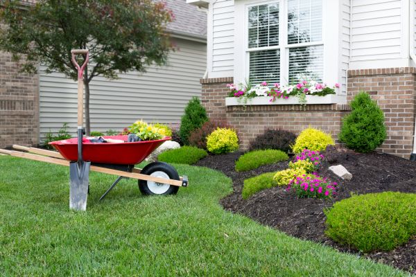 Tree And Shrub Planting in Redford