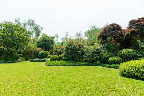 Tree Landscaping in Redford