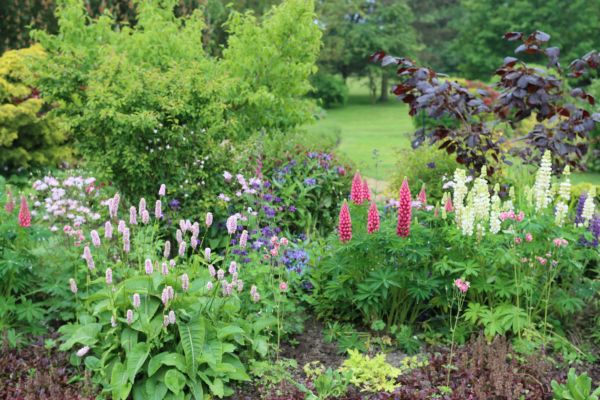 Flower Bed Planting in Redford