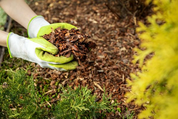 Garden Mulch Delivery in Redford