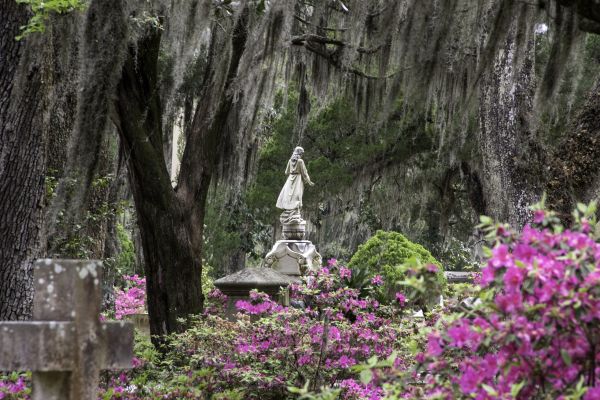 Cemetery Landscaping in Redford
