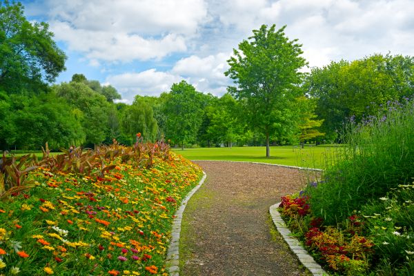 Park Landscaping in Redford