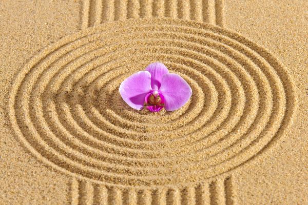 Sand Garden Landscaping in Redford
