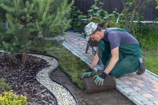 Landscaping Modification in Redford