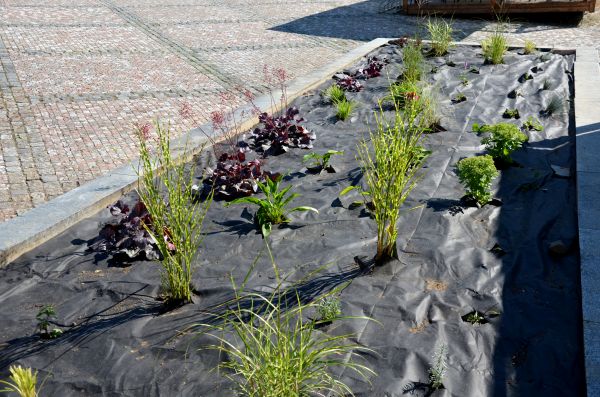 Landscape Fabric Installation in Redford
