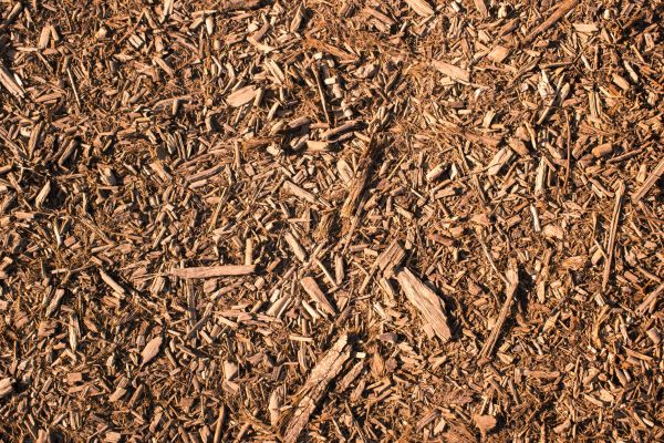 Wood Chips Removal in Redford