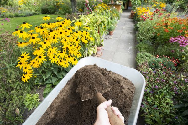 Topsoil Replacement in Redford