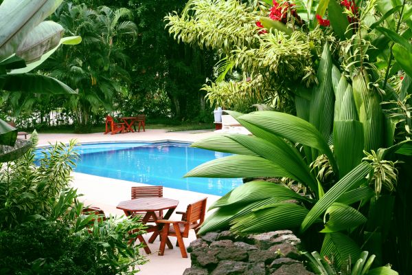 Pool Area Landscaping in Redford