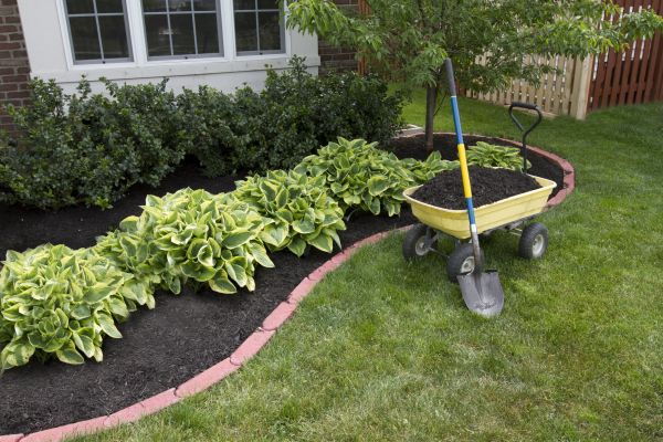 Landscape Mulching in Redford