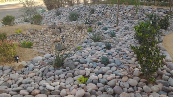 Yard Xeriscaping in Redford