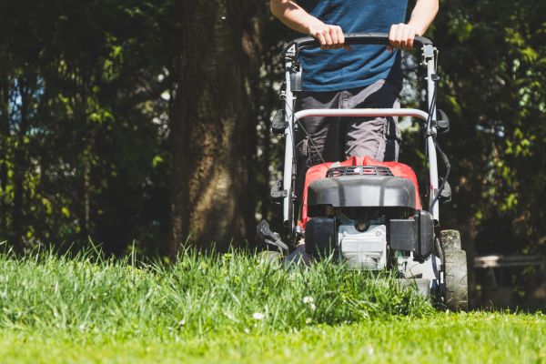 Garden Trimming Service in Redford