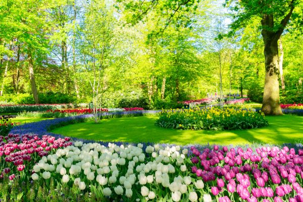 Flower Landscaping in Redford