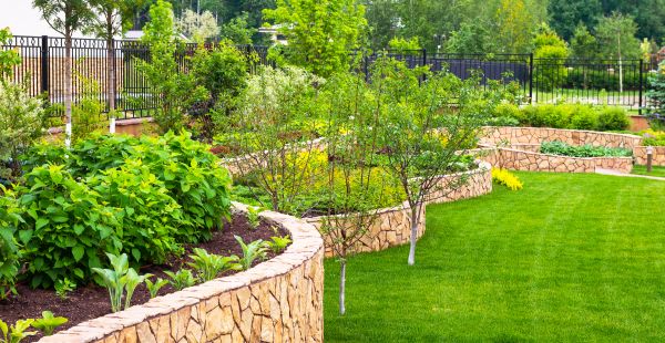 Yard Makeover Service in Redford