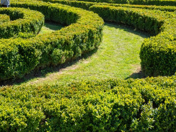 Bush Landscaping in Redford