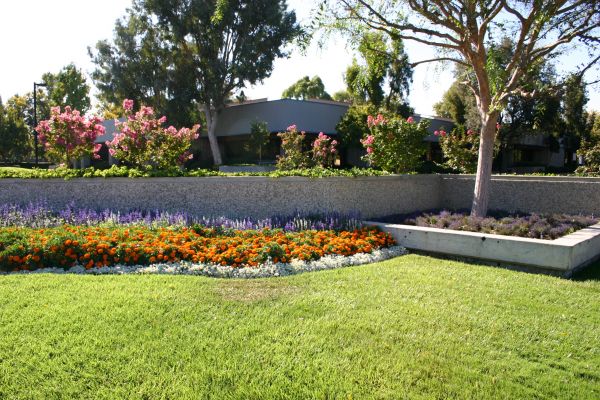 Commercial Landscape Service in Redford