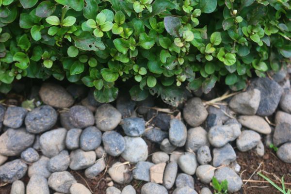 River Stone Installation in Redford
