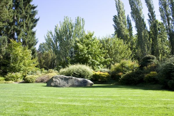 Yard Enlargement in Redford