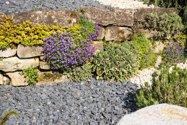 Landscaping Rocks Installation in Redford