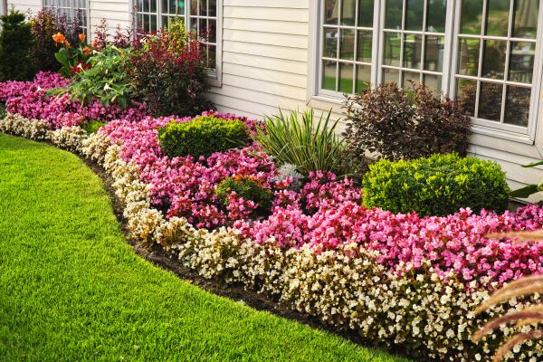 Garden Landscape Design in Redford