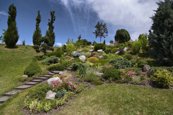 Steep Terrain Landscaping in Redford